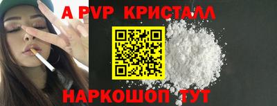твердый Сланцы