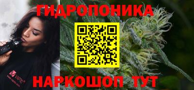 СК Славгород