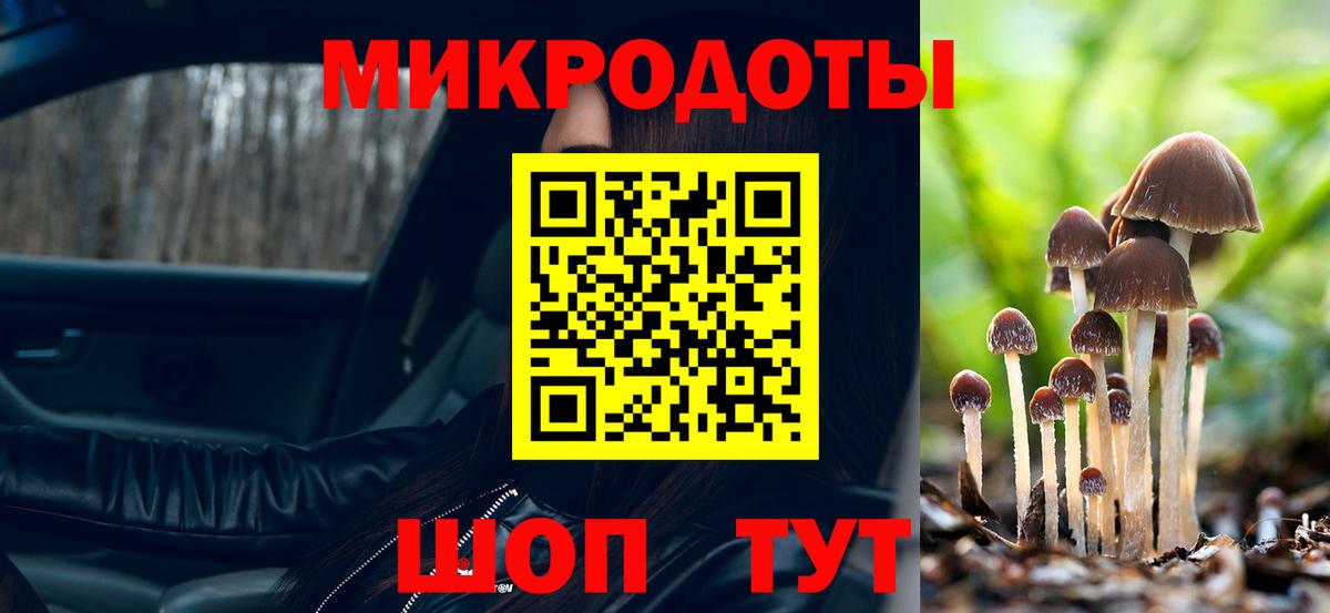 Псилоцибиновые грибы Psilocybine cubensis  Вход с VPN  Реутов  Псилоцибиновые грибы Magic Shrooms 